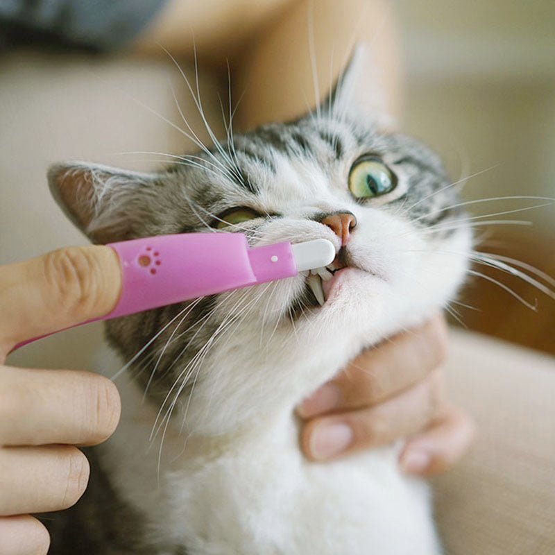 Cat Pet Finger Toothbrush